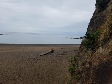 シャクリすぎで腕つった(–;)でも釣れた