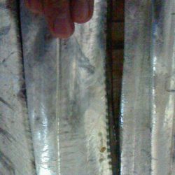 台風前に太刀魚