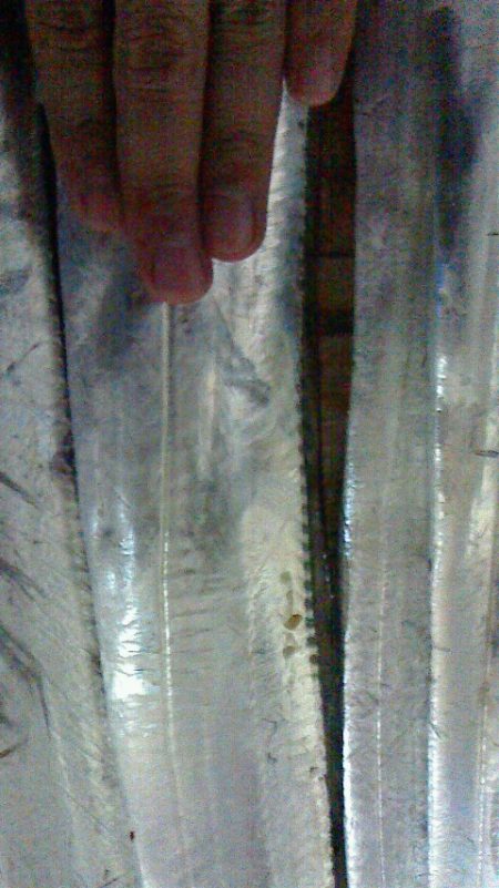 台風前に太刀魚