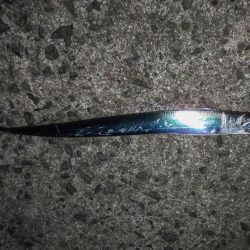 岸和田タチウオ