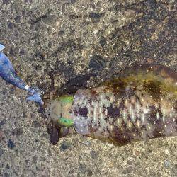 とんでもない爆風の中で