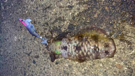 とんでもない爆風の中で