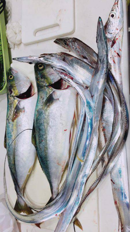 久しぶりの平日休み