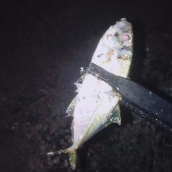 ラッキーかな？