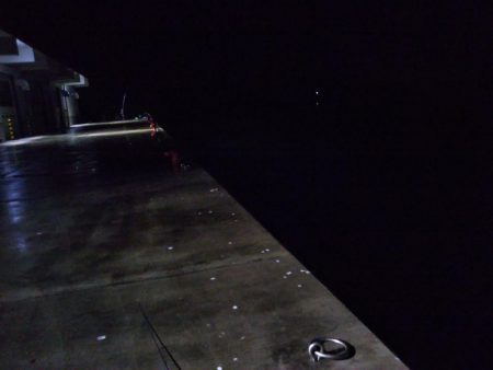 メバルいいサイズ