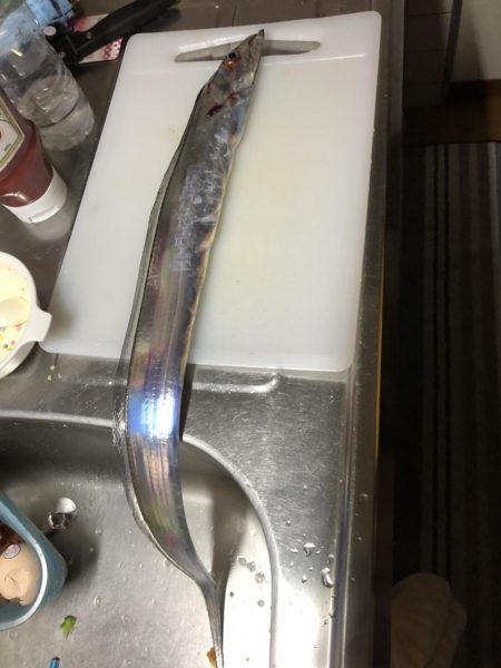 台風でも行ってる人はいるのか？