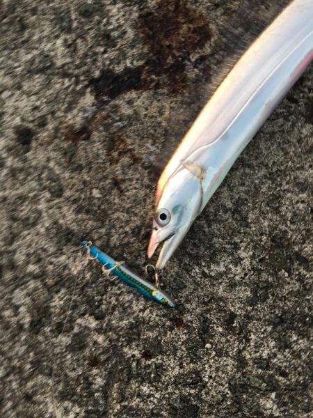 こんなもんでしょ