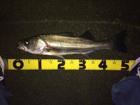 粘ってなんとか。