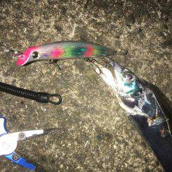 キモはスローリトリーブ！橋下でドン！