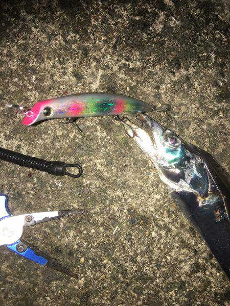 キモはスローリトリーブ！橋下でドン！