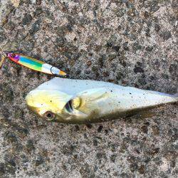 ダメな日でした