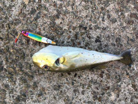 ダメな日でした