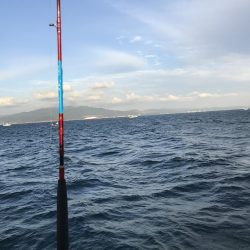 これだけのアジどう料理しよう