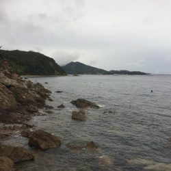 ロックフィッシュゲーム