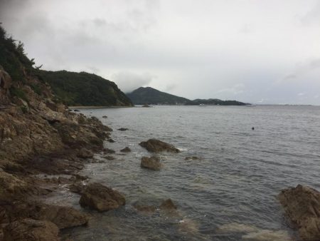 ロックフィッシュゲーム