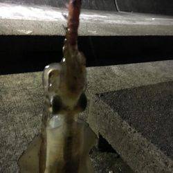 陽が沈んでから