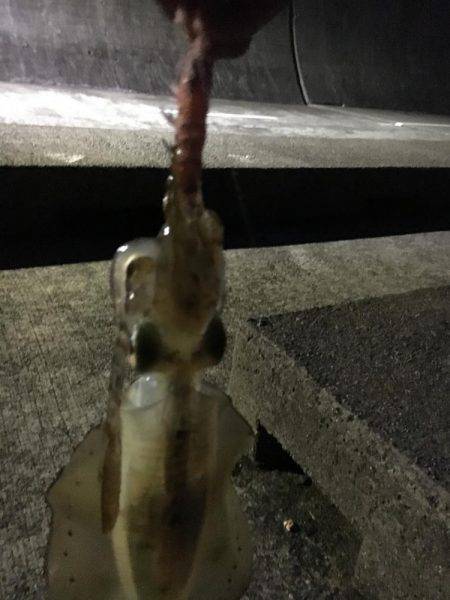 陽が沈んでから