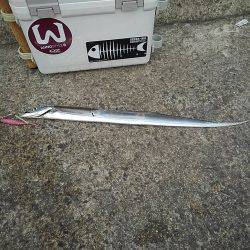 太刀魚の塩焼き求めて⁉️