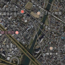 江戸前ハゼ釣り