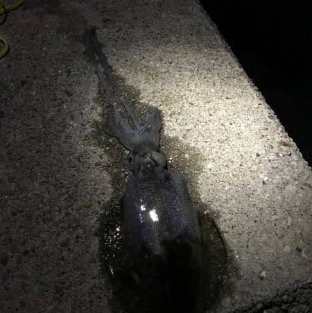 こんなところから！？