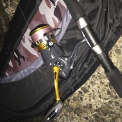 キタ！初青物！！