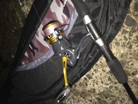 キタ！初青物！！