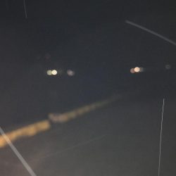 穴子良いサイズ