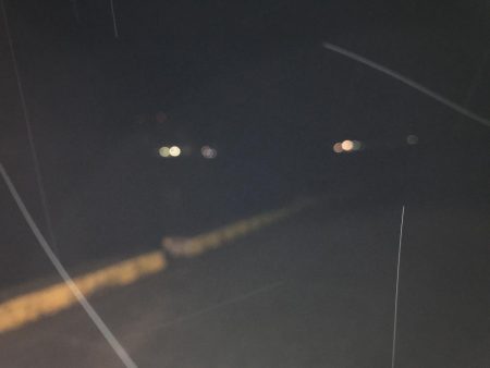 穴子良いサイズ