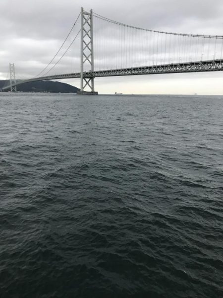 デカイカ求めて！