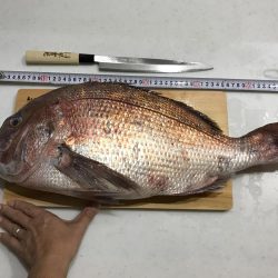 海上釣堀辨屋にて