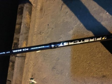 きびしいアジング