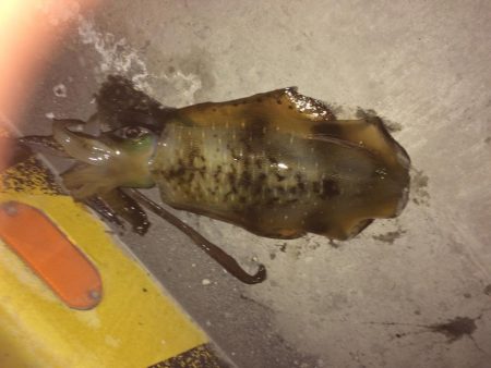 仕事終わりに、、、