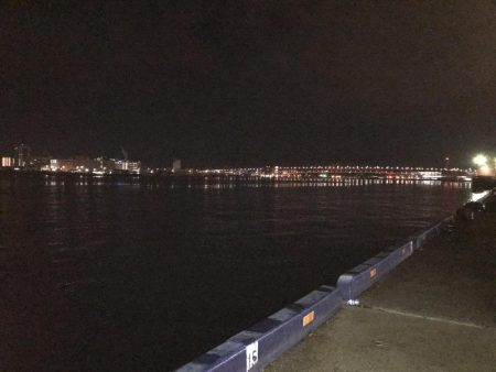 居着きのタチウオ⁇