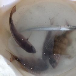 小物に癒されて