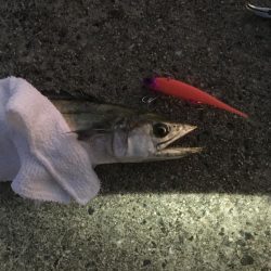 最後まで厳しく