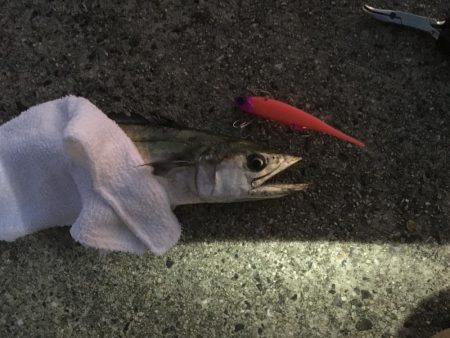 最後まで厳しく