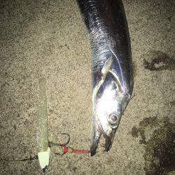 パターンは長めのフォール！もう一度言います長めのフォールです！！