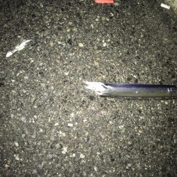 小雨のタチウオ調査！渋いっ…。