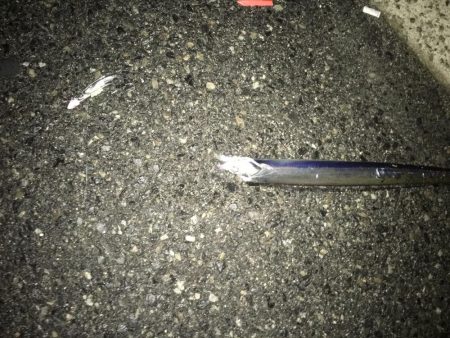 小雨のタチウオ調査！渋いっ…。