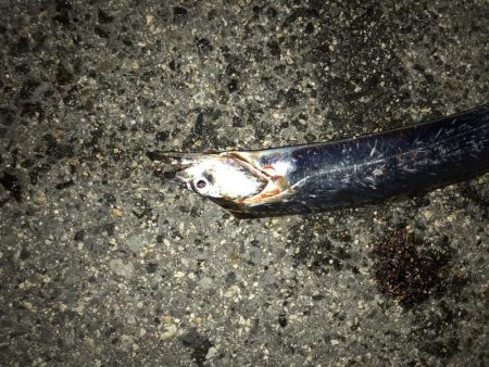 なんとか、ボウズは…。