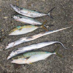 今日は良かった❗️