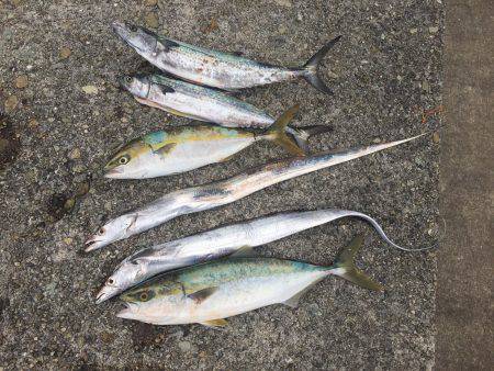 今日は良かった❗️