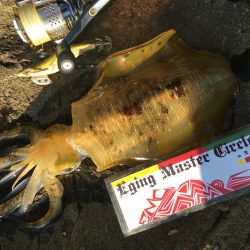 台風後…台風前釣行！