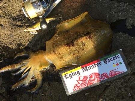 台風後…台風前釣行！