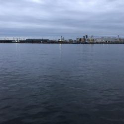 タチウオ専用ロッド