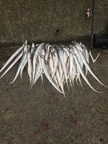 誰でも入れ食い