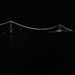 ウキ釣りにてタチウオ