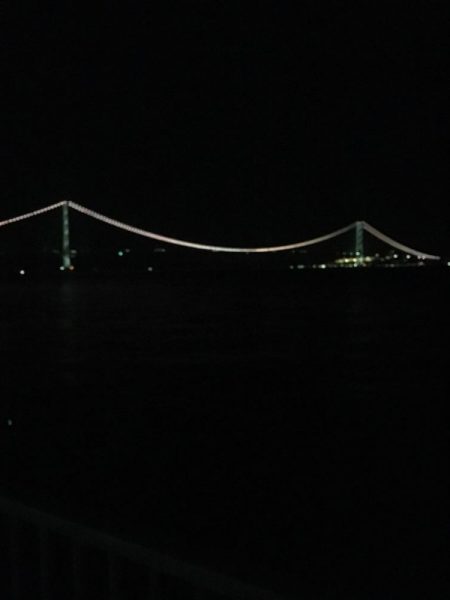 ウキ釣りにてタチウオ