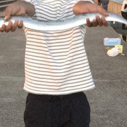 おかえりタチウオ