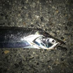 戻り気配が…。